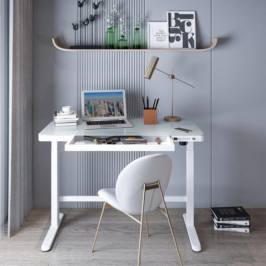 Home Office Electric Height Adjustable Desk 48" Width Standing Desk Computer Desk Glass Top with Drawer, USB Charged