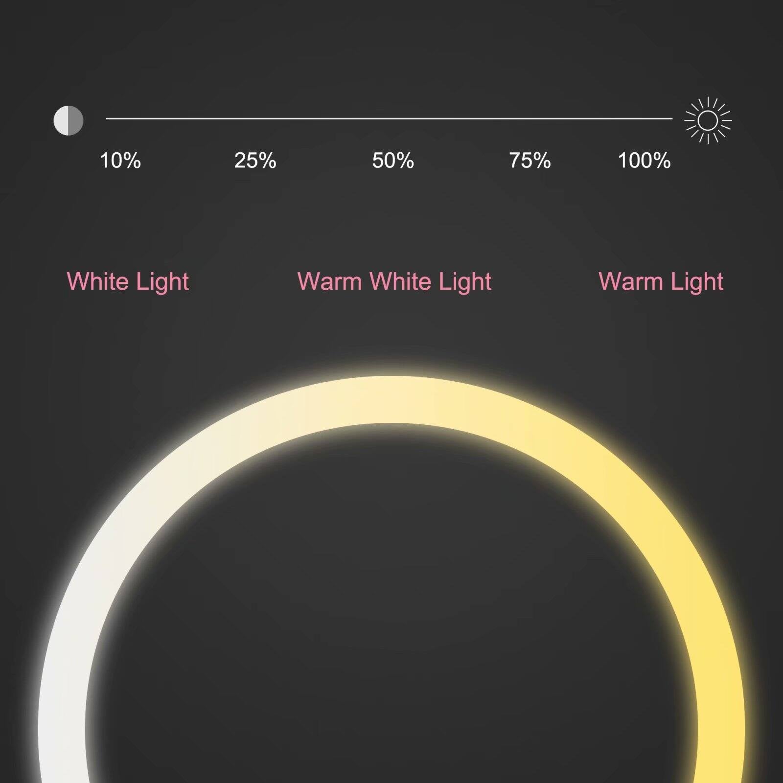 NeutBath LED Wall Bathroom Mirror with Dimmer